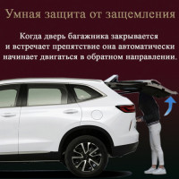  фото #11131