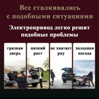  фото #11926