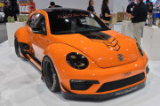 Beetle